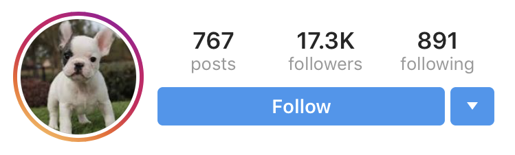 follower/following ratio