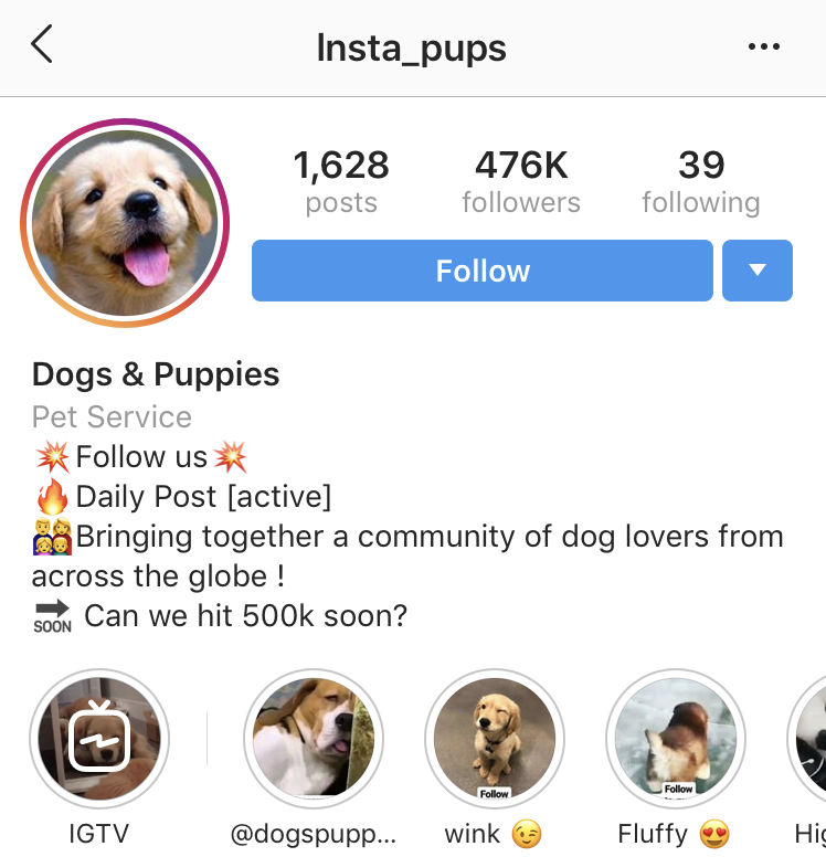 Instagram Bio Ideas to Get More Followers - Social Buddy